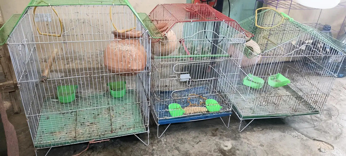 Cage available resonable price, 4000 — photo 2