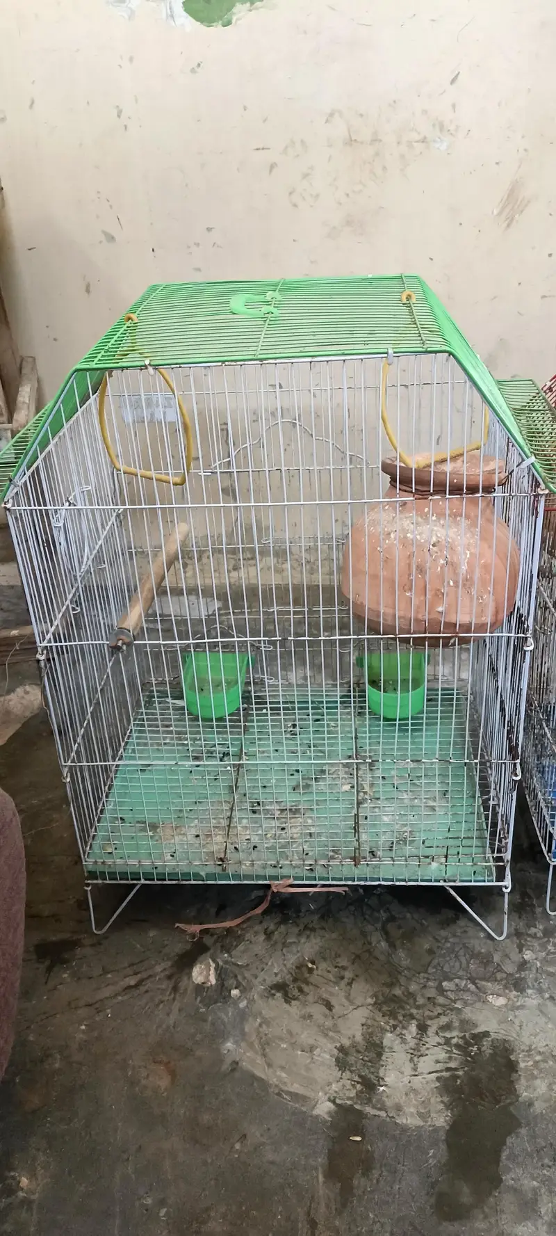 Cage available resonable price, 4000 — photo 3