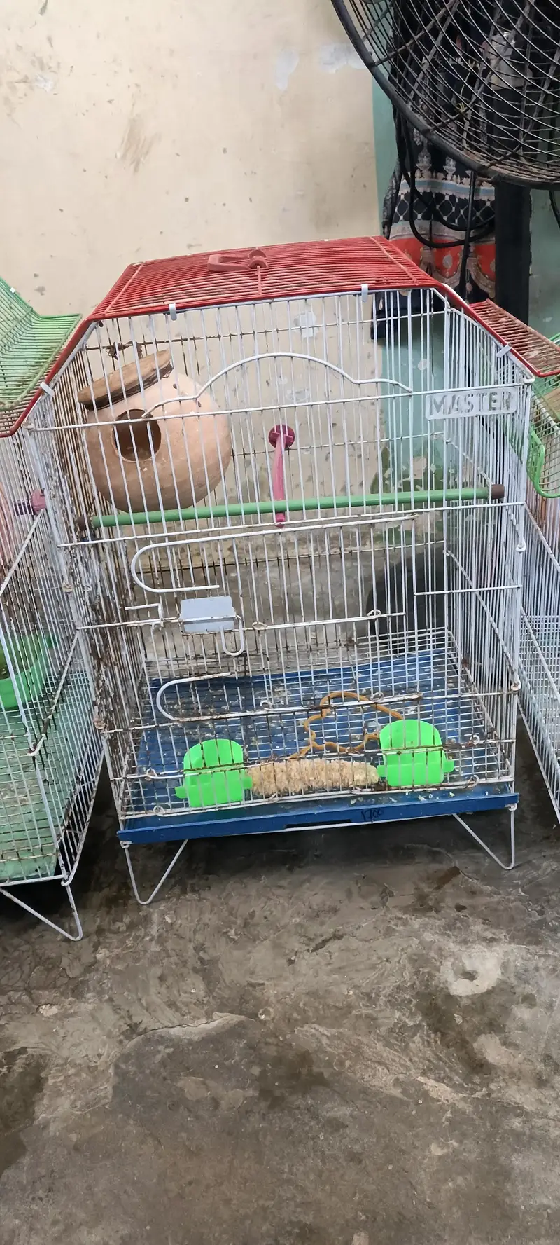 Cage available resonable price, 4000 — photo 4