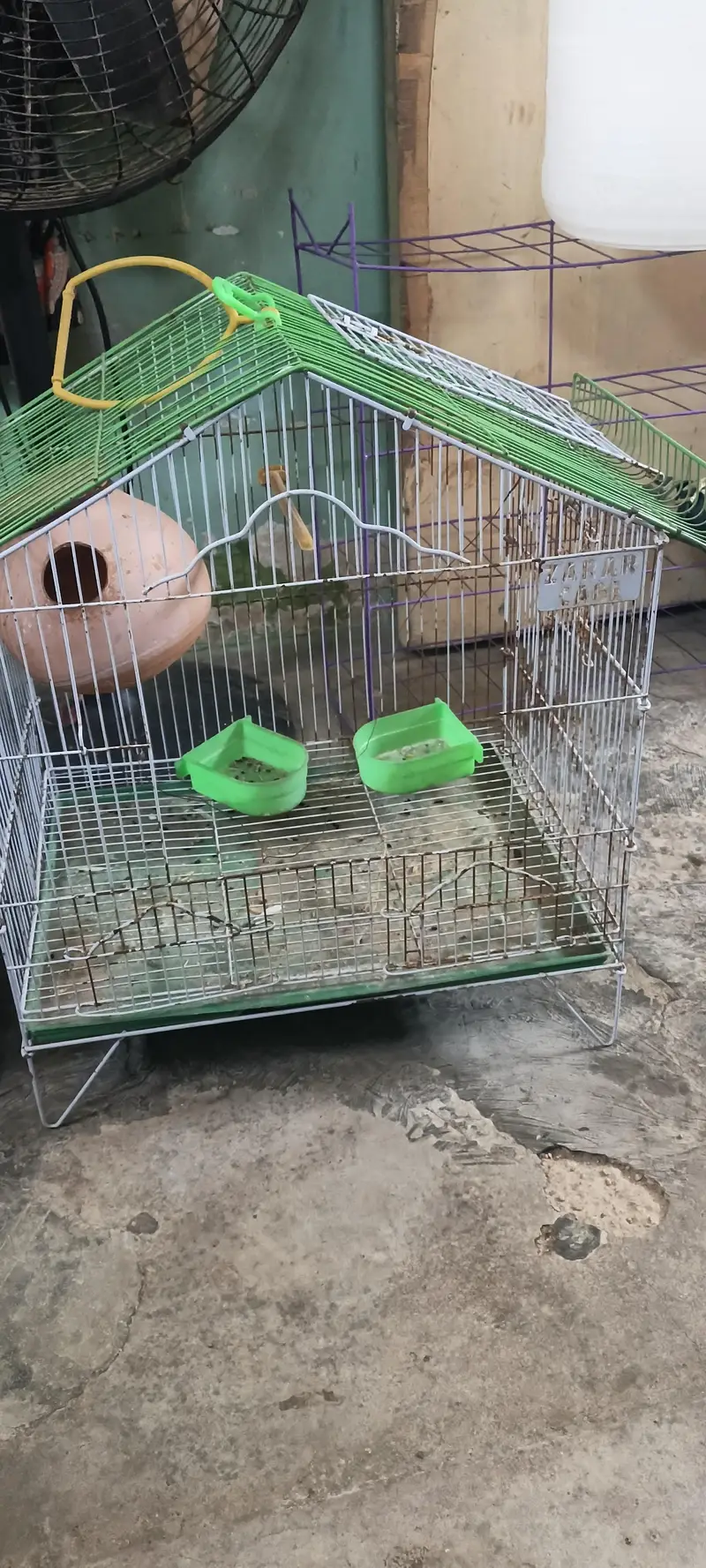 Cage available resonable price, 4000 — photo 5