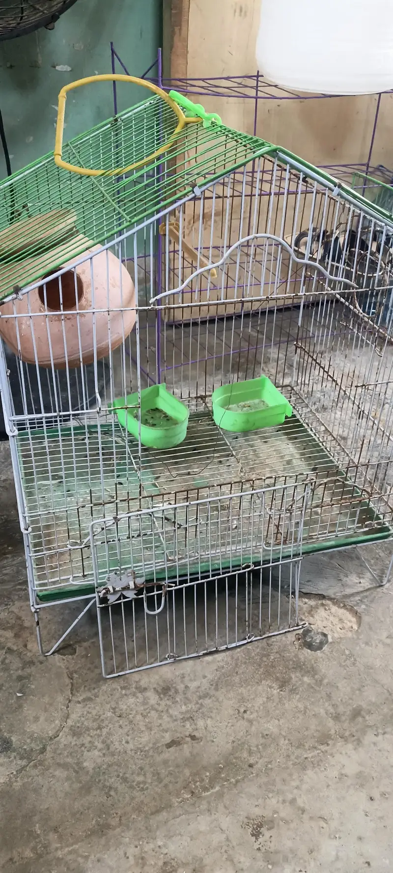 Cage available resonable price, 4000 — photo 6