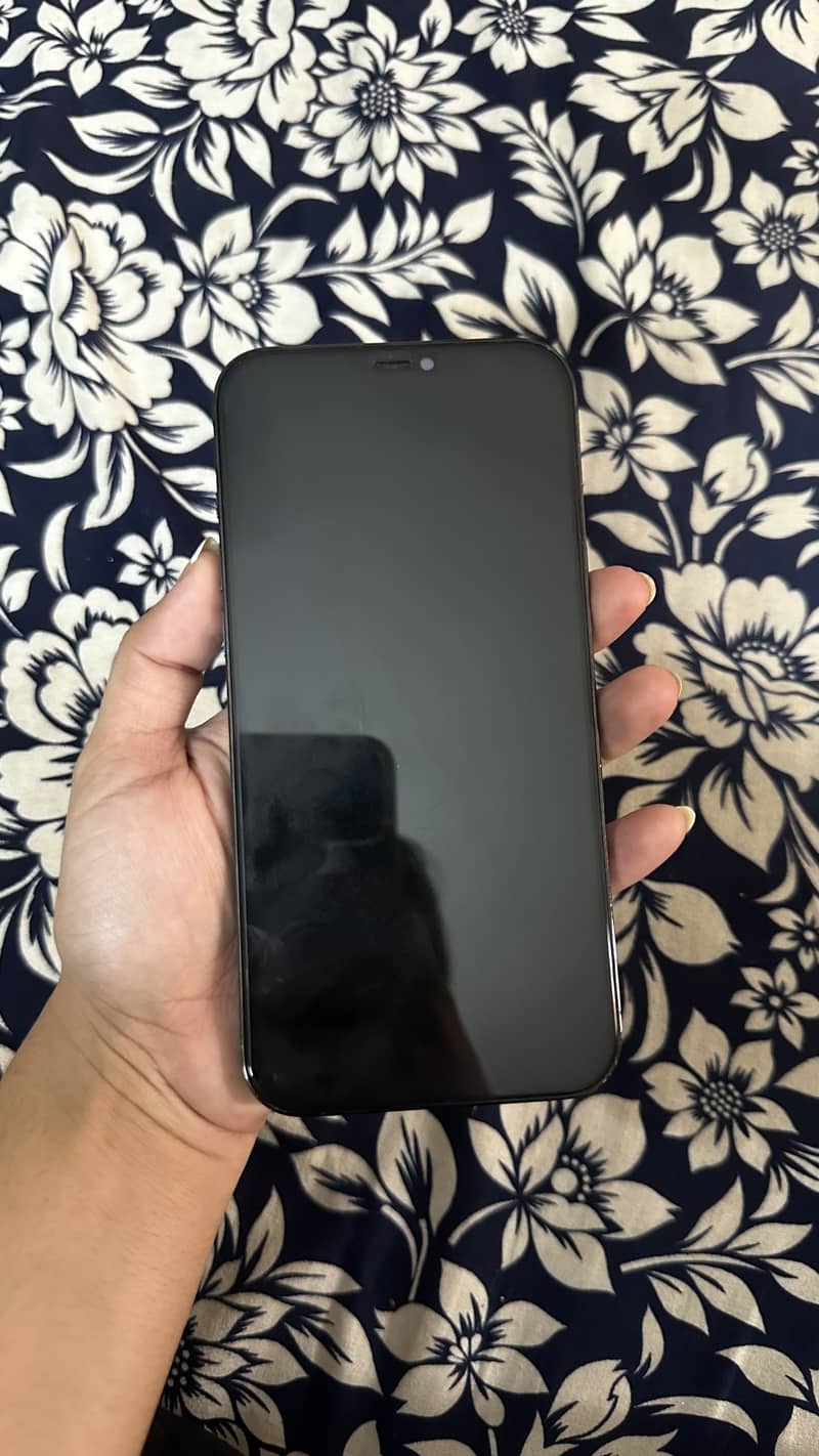 Apple iPhone 12 Pro Max 2