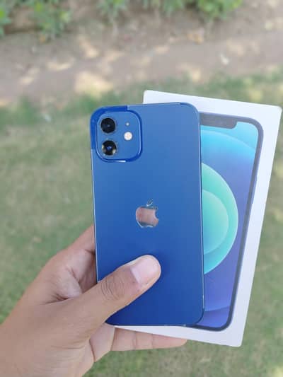 Apple iPhone 12