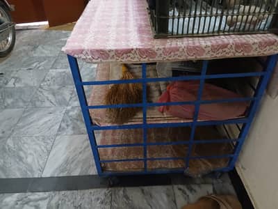 kitchen pots stand