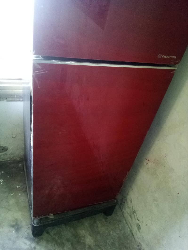 fridge 5