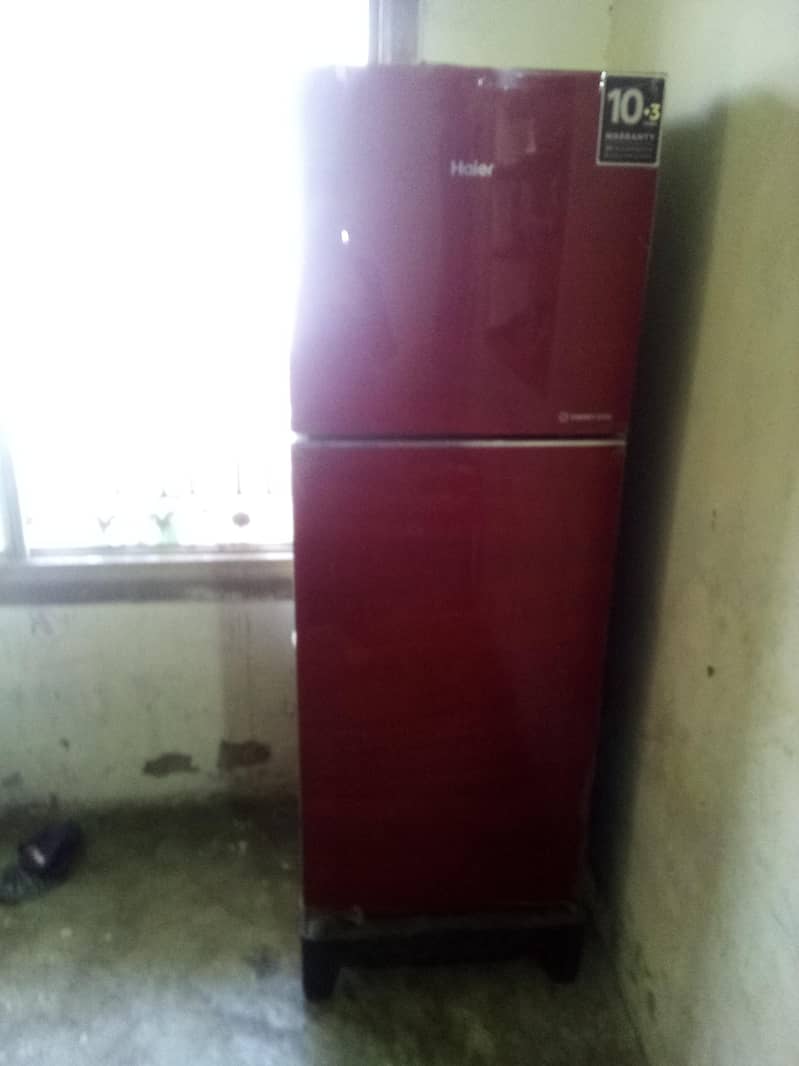 fridge 9