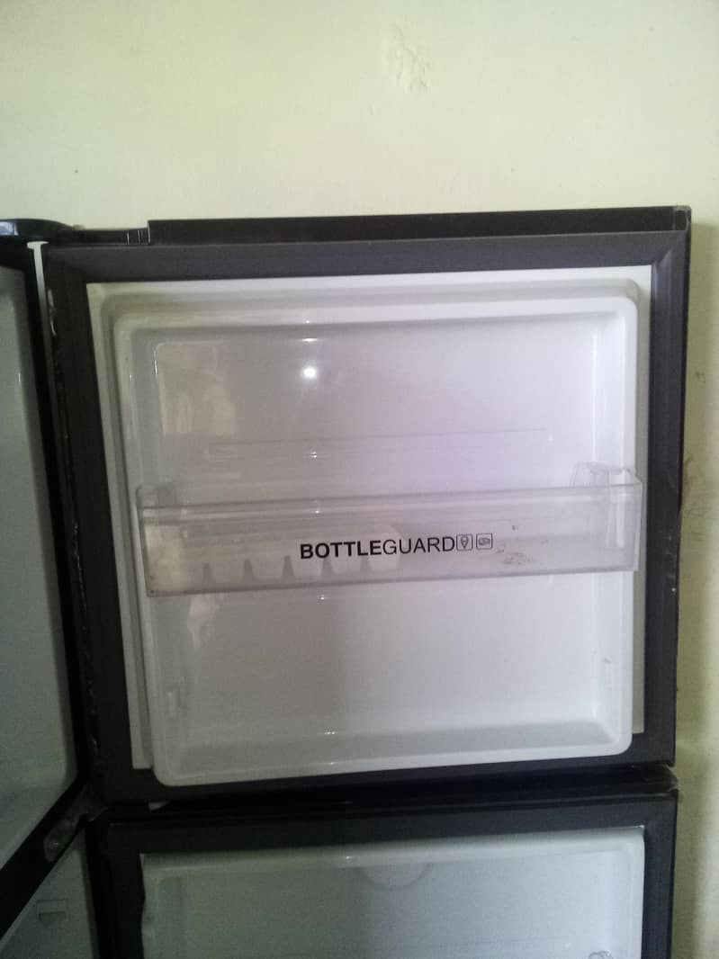 fridge 12