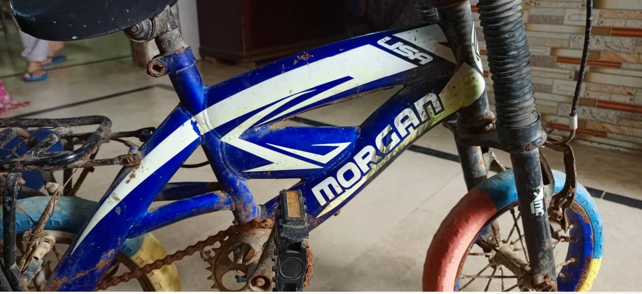 morgan 3