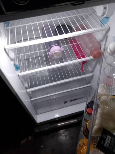 friage sale