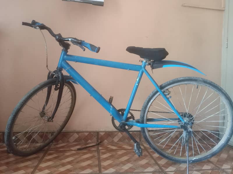 Bicycle 0