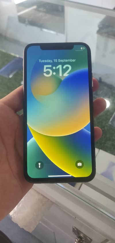 Apple iPhone X
