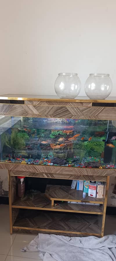Full Aquarium