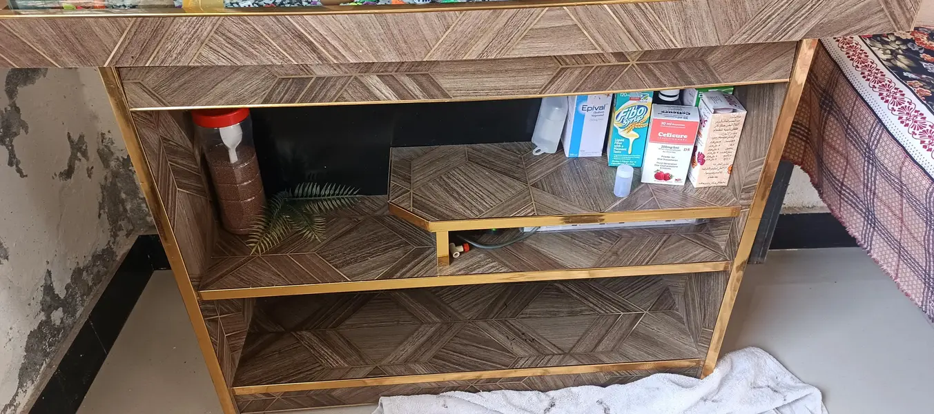 Full Aquarium — photo 4