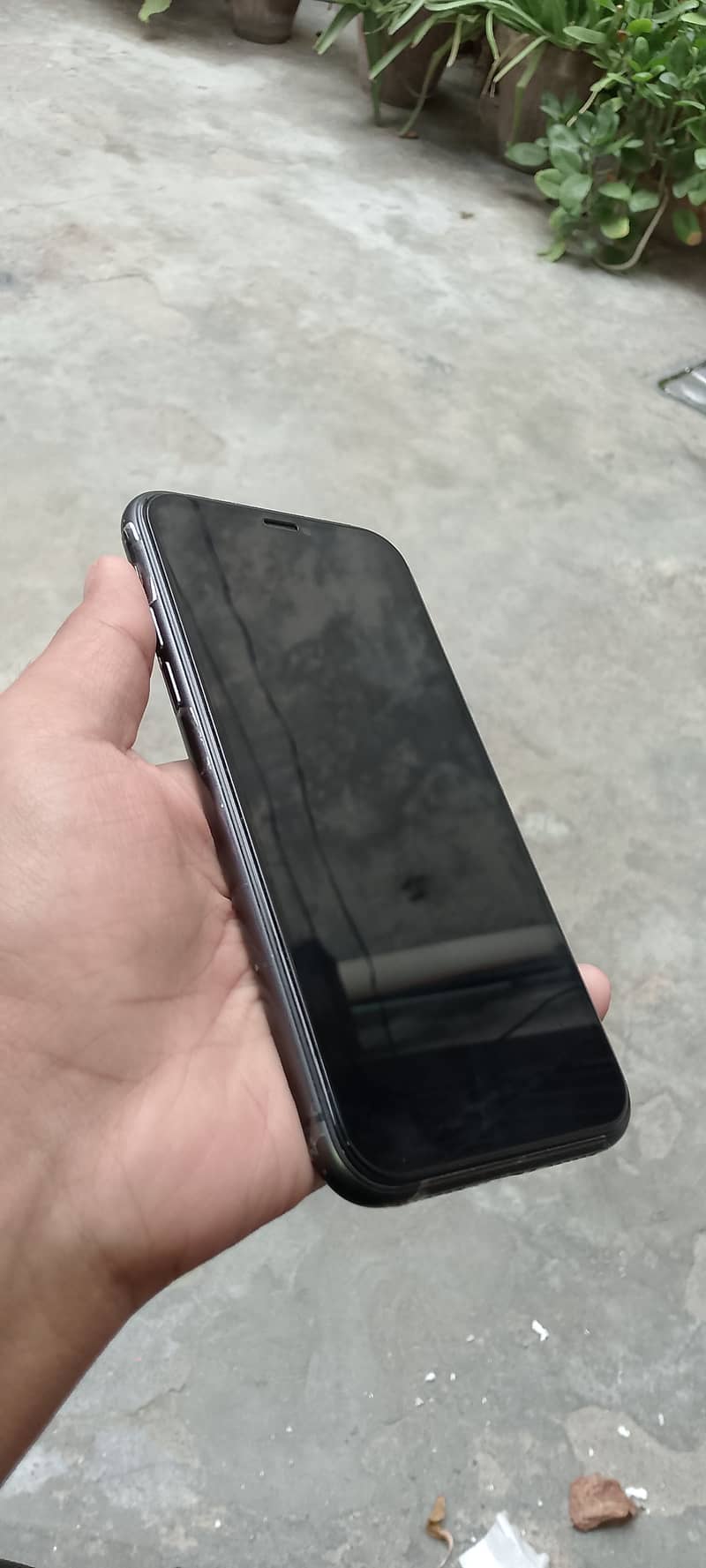 Apple iPhone 11 3
