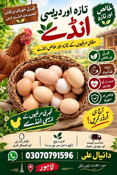Fertile Organic Fresh desi eggs