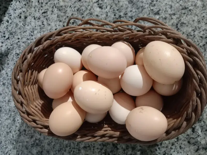 Fertile Organic Fresh desi eggs — photo 3