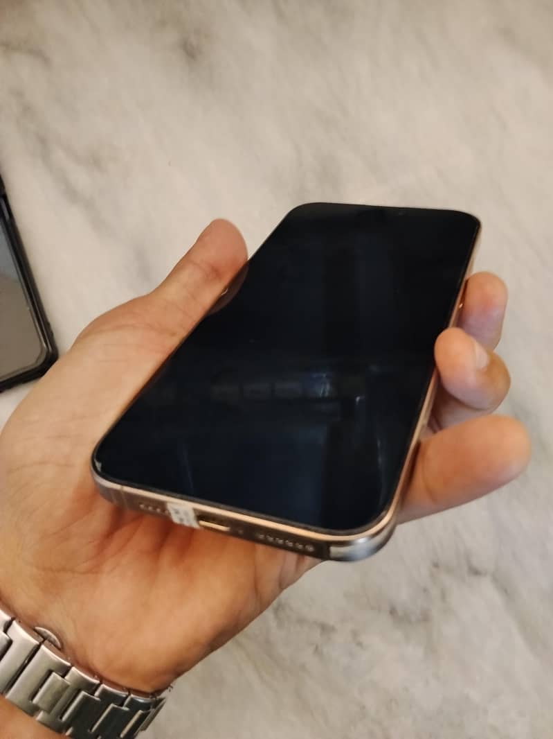 Apple iPhone 16 Pro Max 1