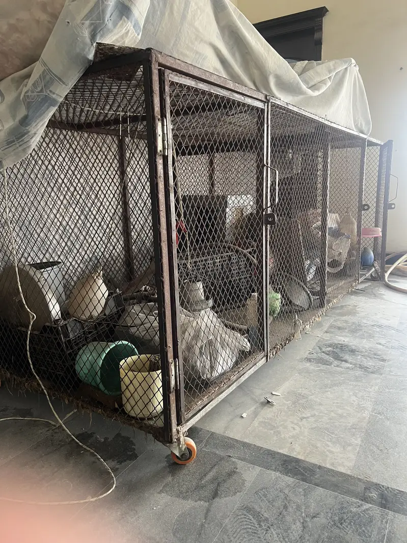 Best Cage for dogs and hens