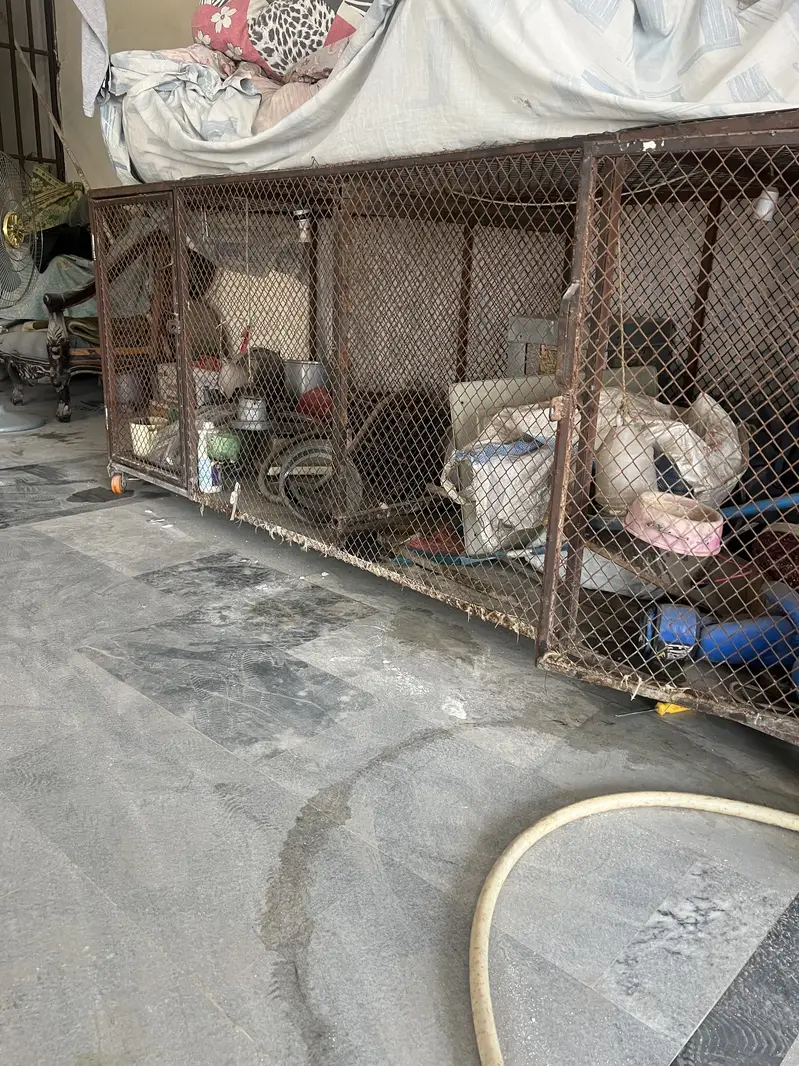 Best Cage for dogs and hens — photo 2