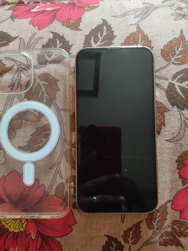 Apple iPhone 13 Pro Max 1