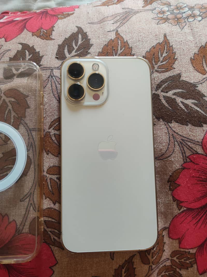 Apple iPhone 13 Pro Max 2
