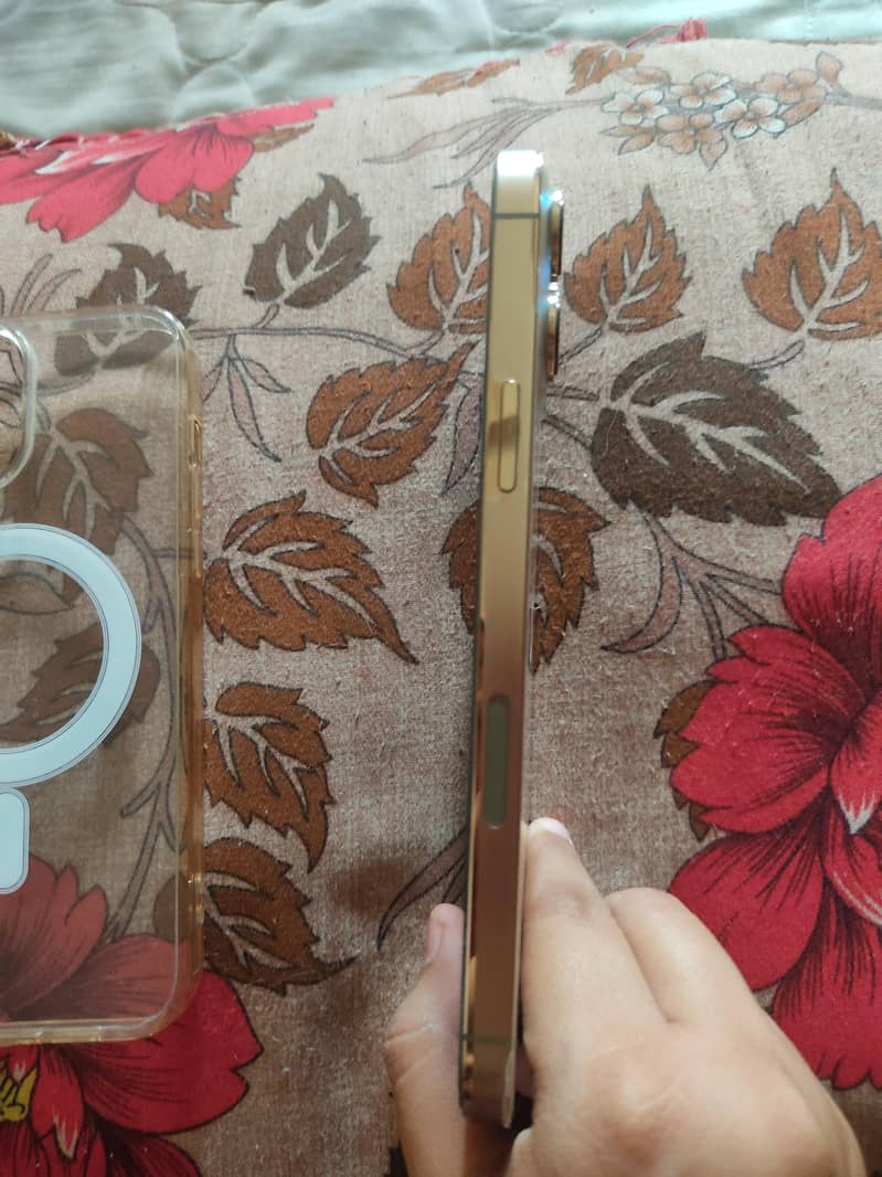 Apple iPhone 13 Pro Max 3