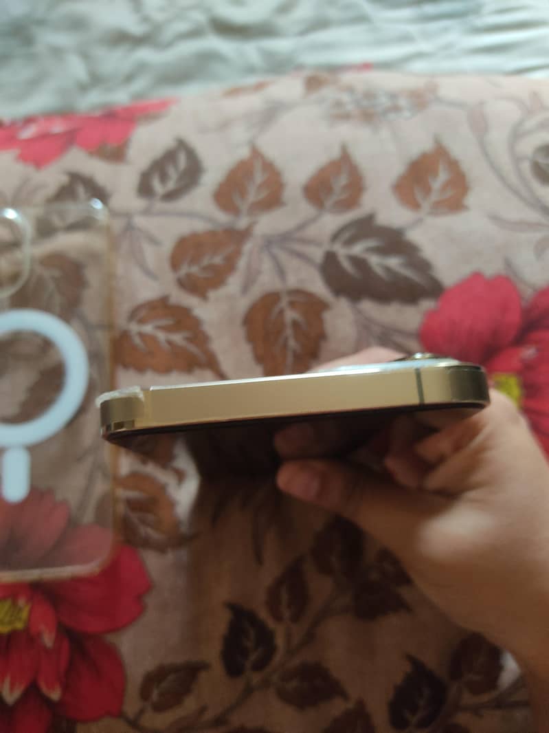 Apple iPhone 13 Pro Max 5