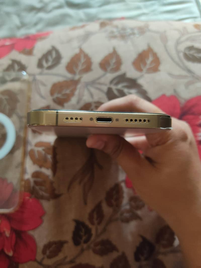 Apple iPhone 13 Pro Max 6