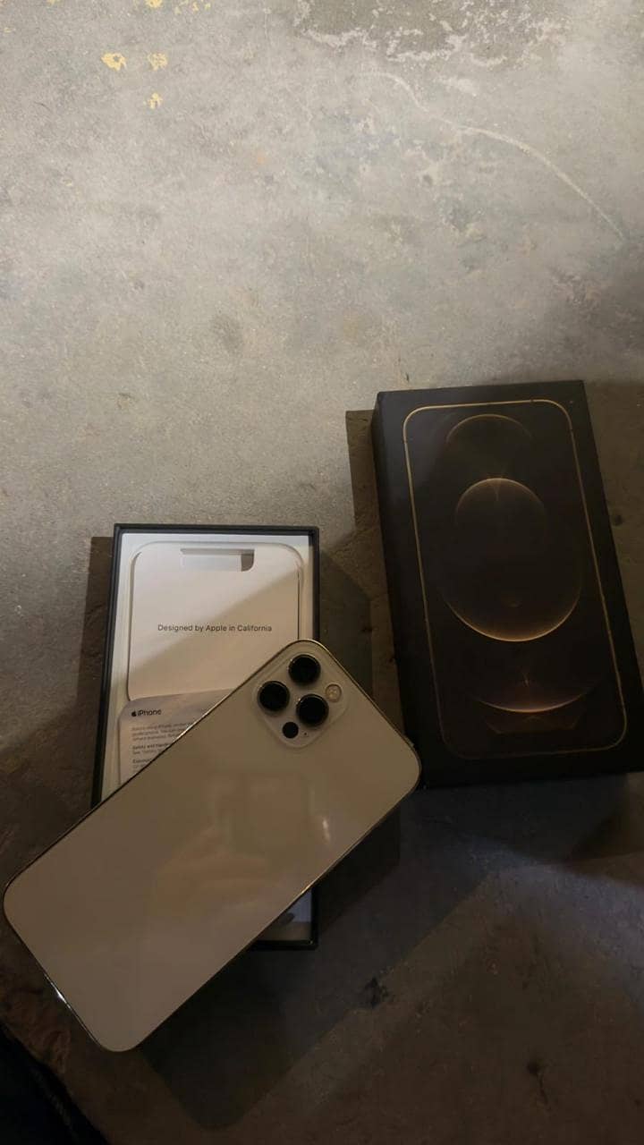 Apple iPhone 12 Pro 1