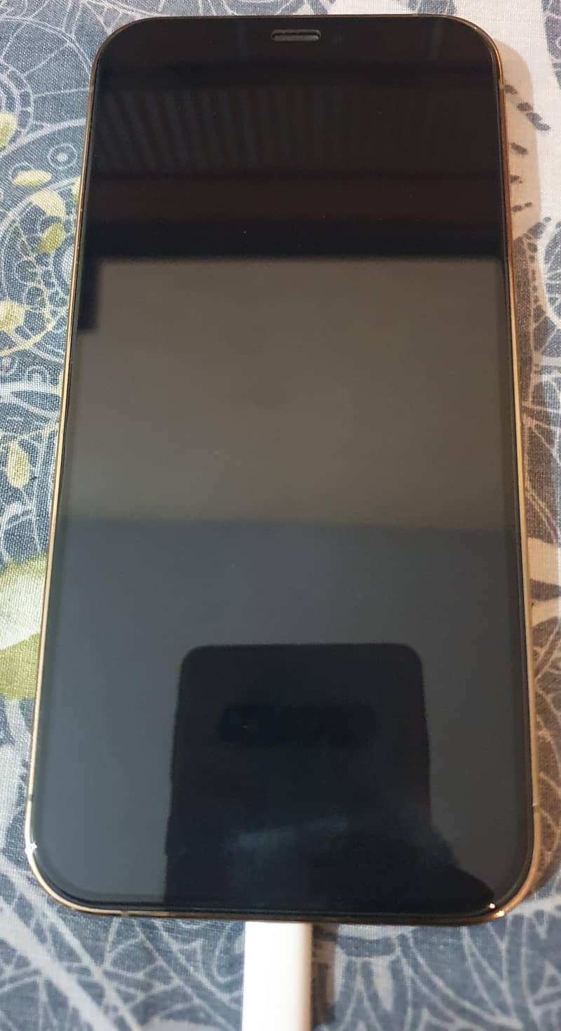 Apple iPhone 12 Pro 3