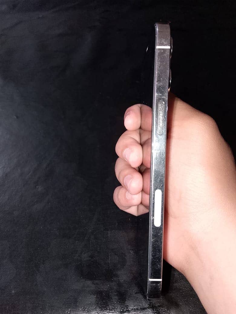 Apple iPhone 12 Pro Max 0