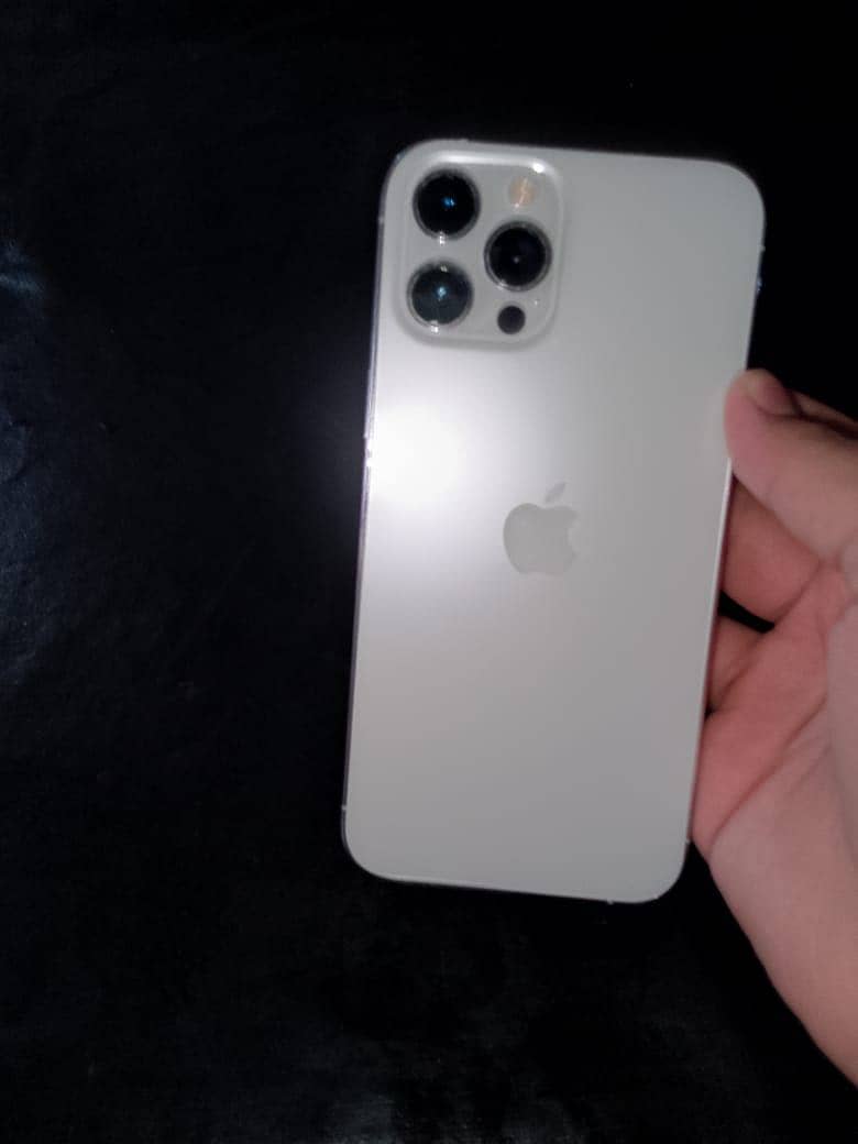 Apple iPhone 12 Pro Max 2