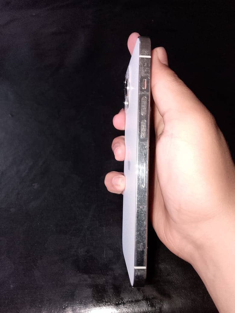 Apple iPhone 12 Pro Max 5