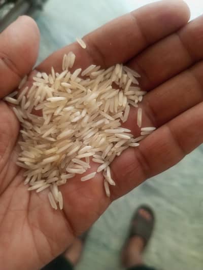 Steam Rice
