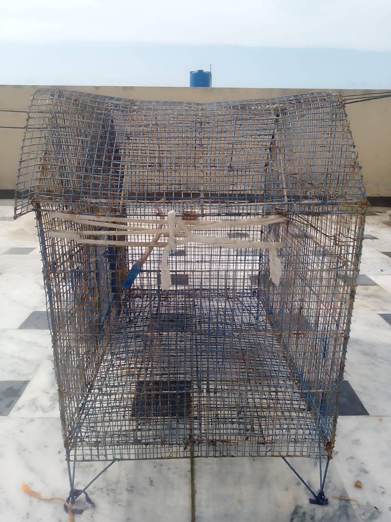 Bird cage 2