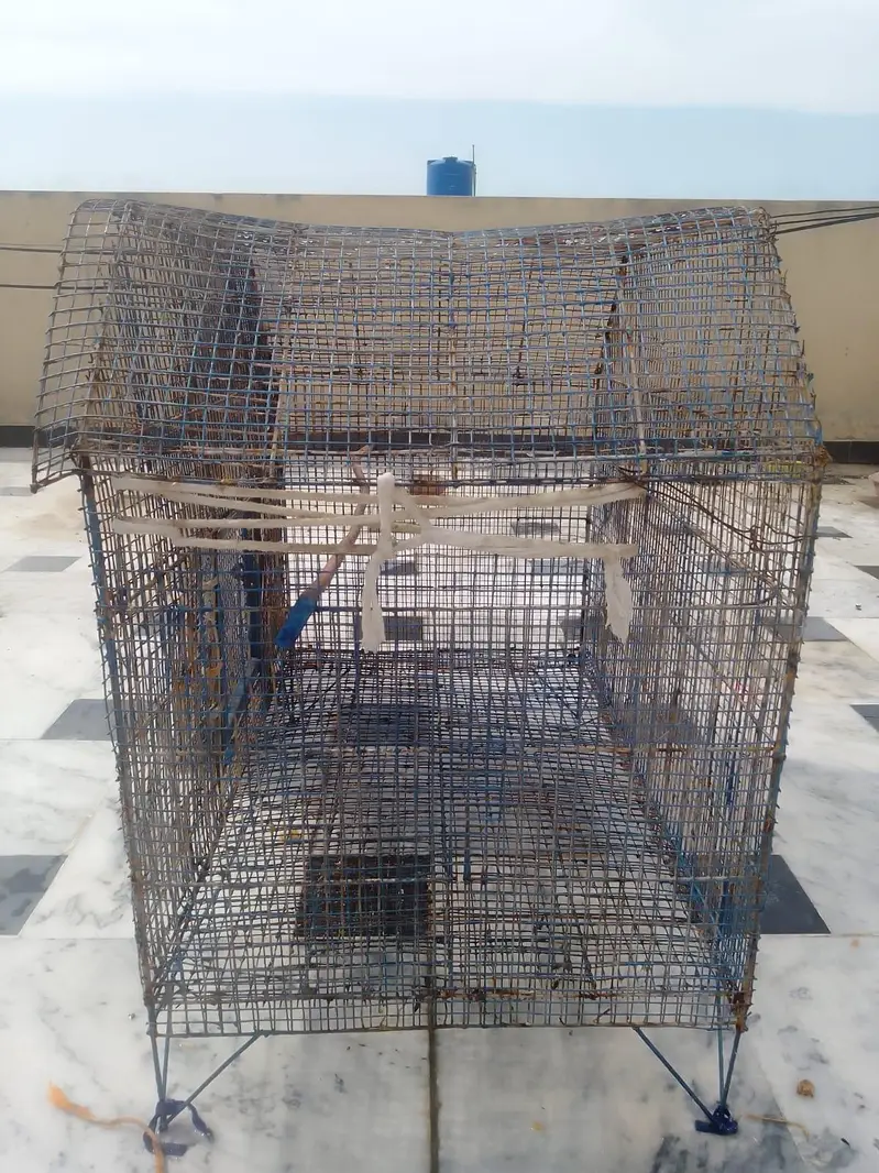 Bird cage — photo 3