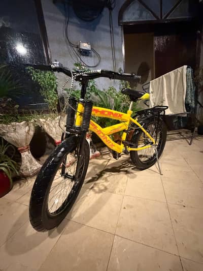 phonix bicycle