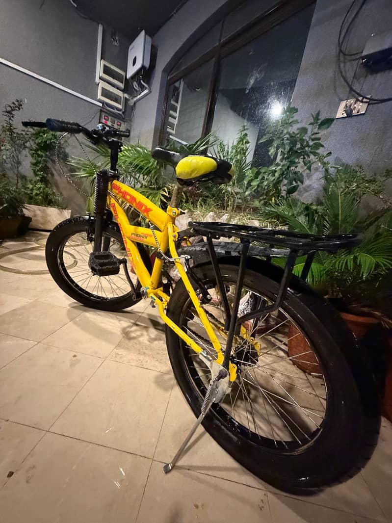 phonix bicycle 1