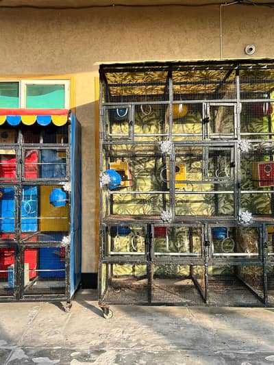 birds cage
