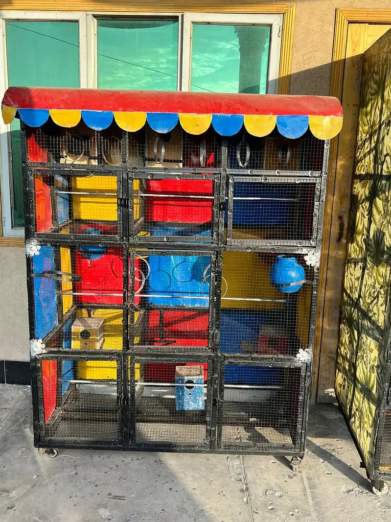 birds cage — photo 2