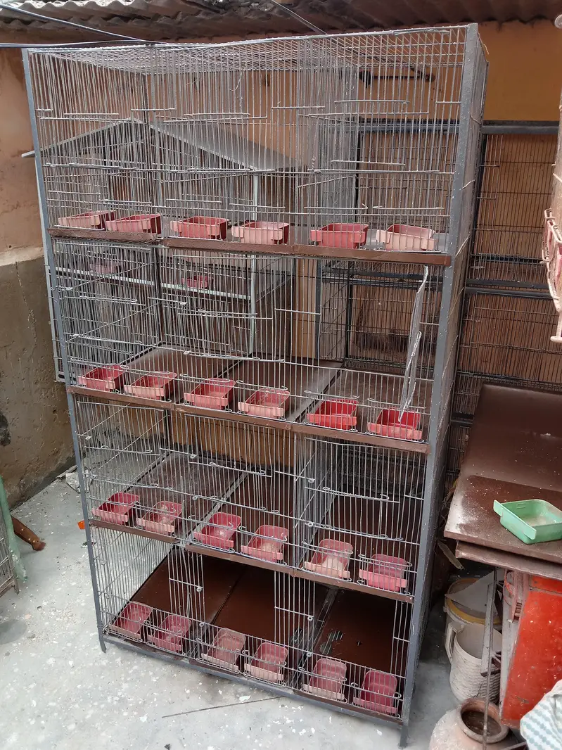 cages — photo 4