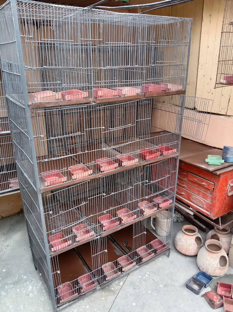 cages 4