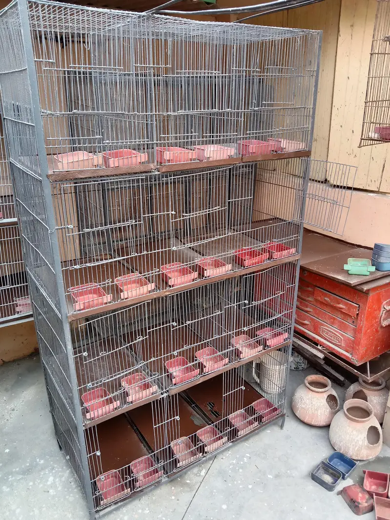 cages — photo 5
