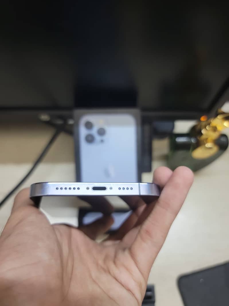 Apple iPhone 13 Pro Max 11