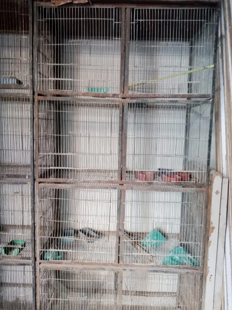 Heavy Iron 8 Portion Cage For Sale - 1.5 x 1.5 Size - 2 Cages Availabl — photo 2