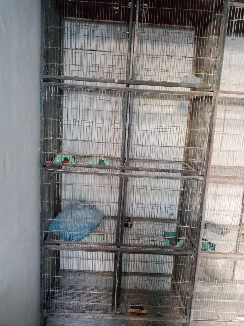 Heavy Iron 8 Portion Cage For Sale - 1.5 x 1.5 Size - 2 Cages Availabl — photo 3