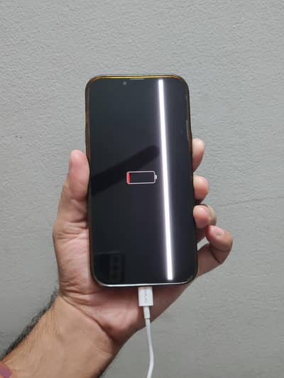 Apple iPhone 13 Pro Max Original panel