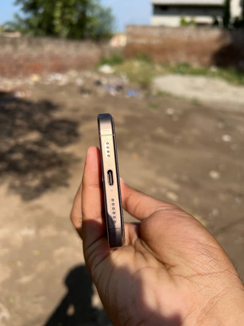 Apple iPhone 16 Pro Max 1