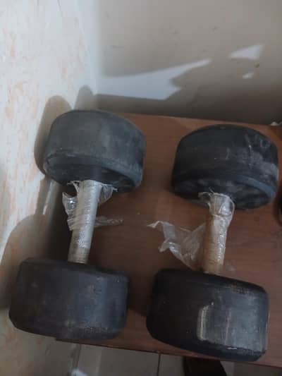pair of 10kg dumbbells