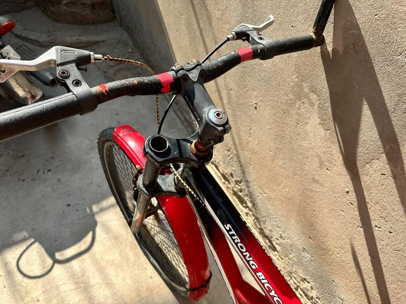 strong bicycle 1
